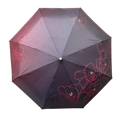 Три слона [108679]