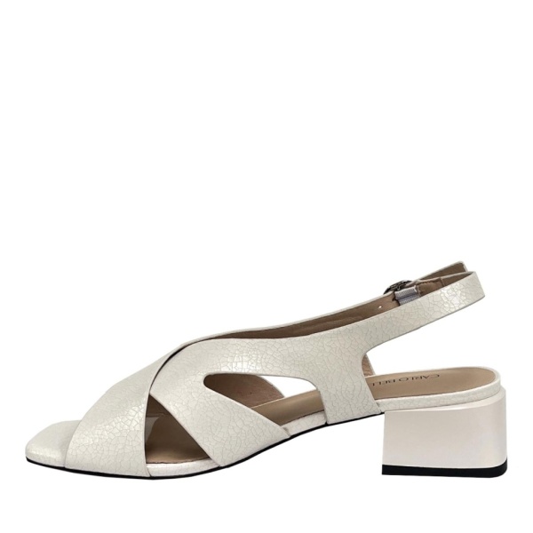 CARLO BELLINI [106147]