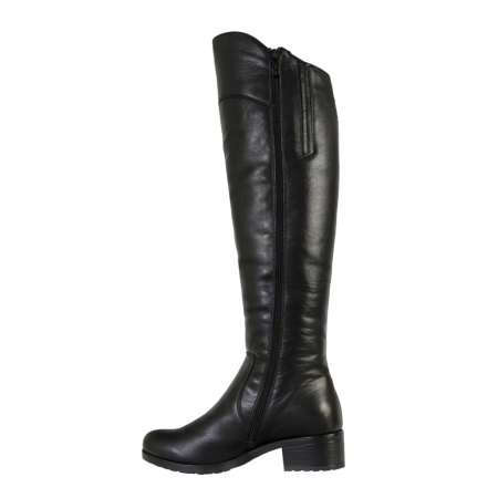 Ботфорты FRANCESCO DONNI F5F2TP021-02S